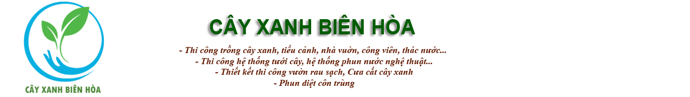 Cây Xanh Biên Hòa: Chuyên Thi Công Cảnh Quan Sân Vườn Tại Đồng Nai