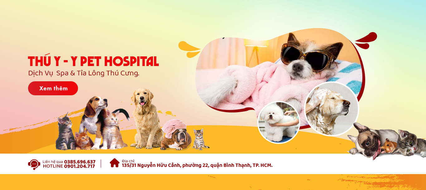Top 3 Phòng Khám Thú Y Uy Tín Tại TP.HCM – Đảm Bảo Sức Khỏe Cho Thú Cưng Của Bạn
