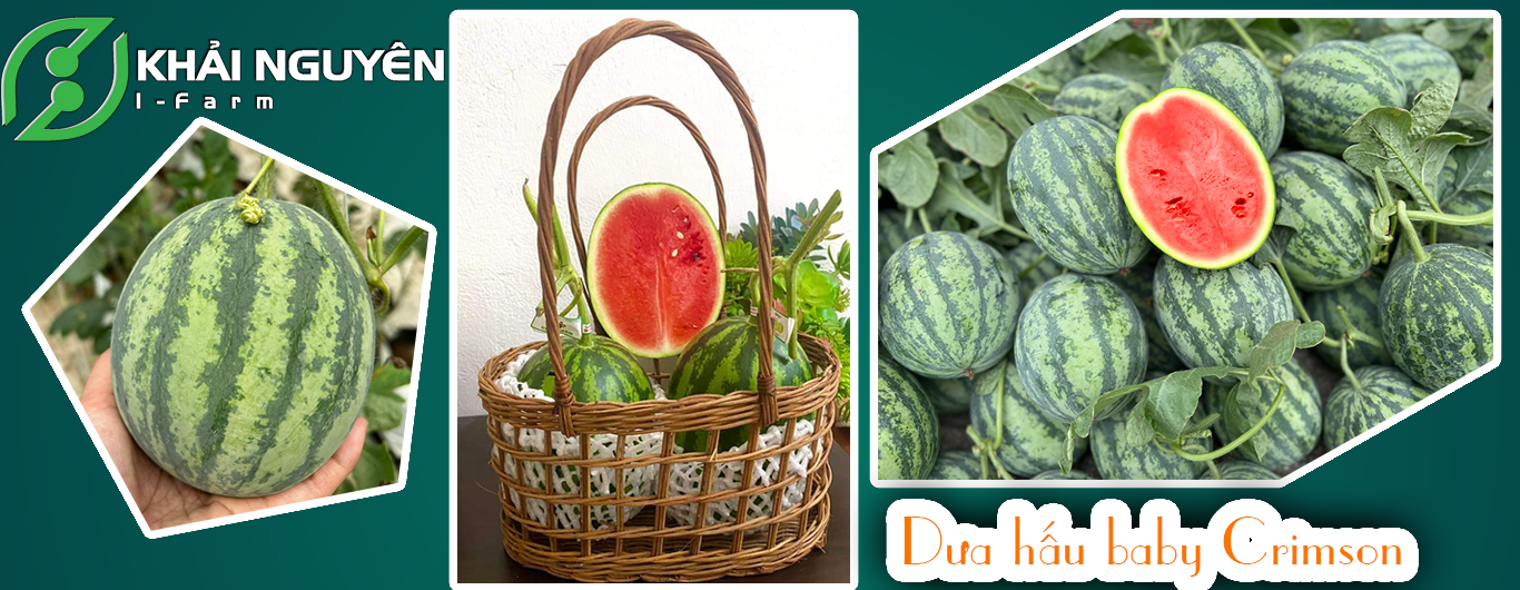 Top 3 Công Ty Xuất Nhập Khẩu Nổi Tiếng Uy Tín Việt Nam