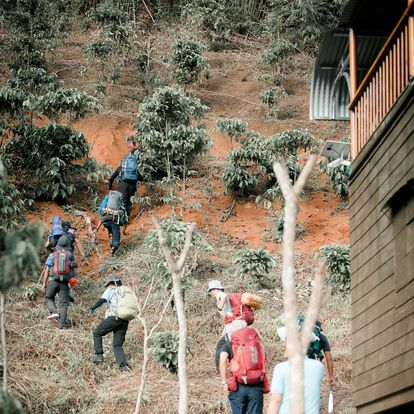 trekking xuyên rừng 