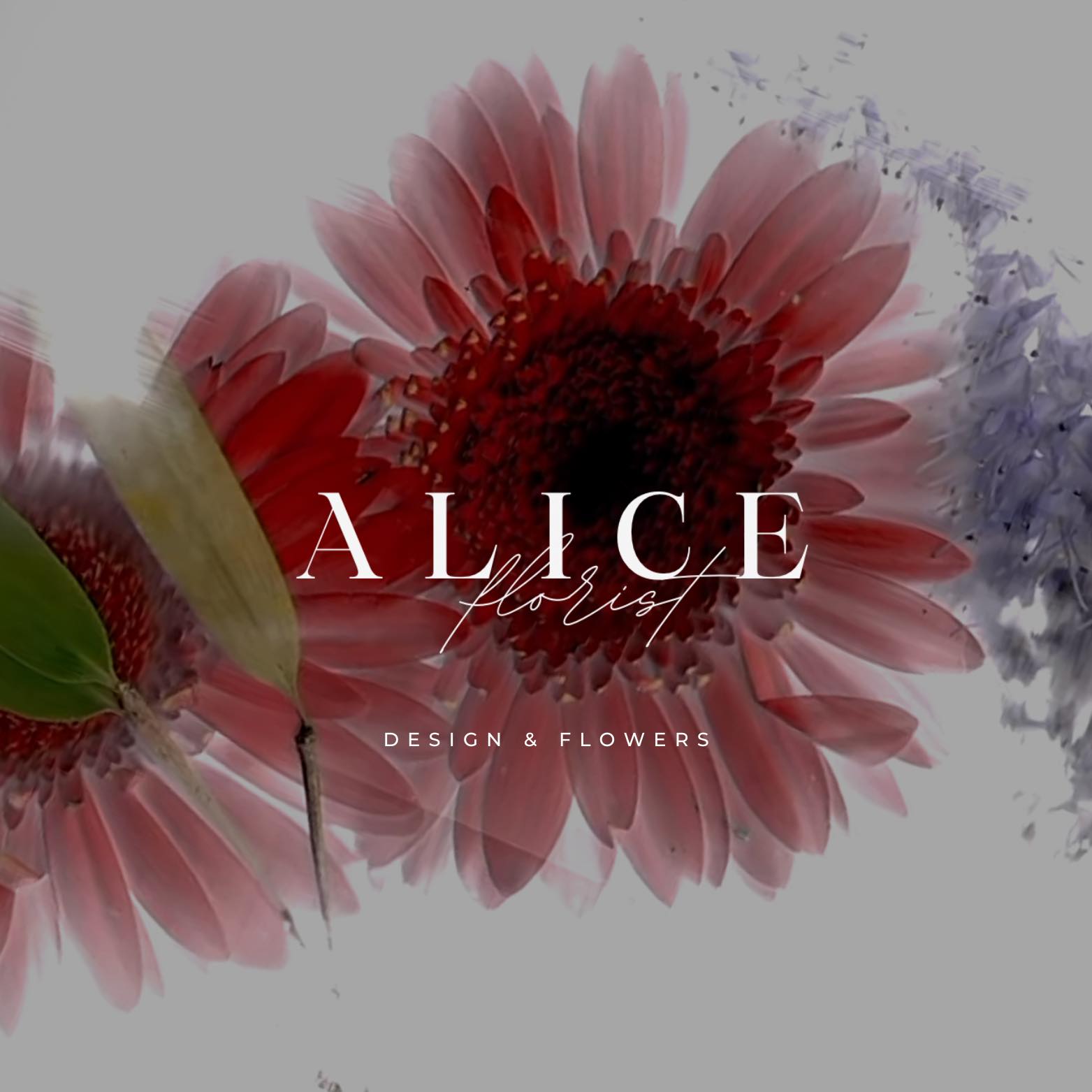 Top 3 Cửa Hàng Hoa Tươi Chất Lượng, Uy Tín, Đẹp, Bền Lâu Ở Biên Hòa