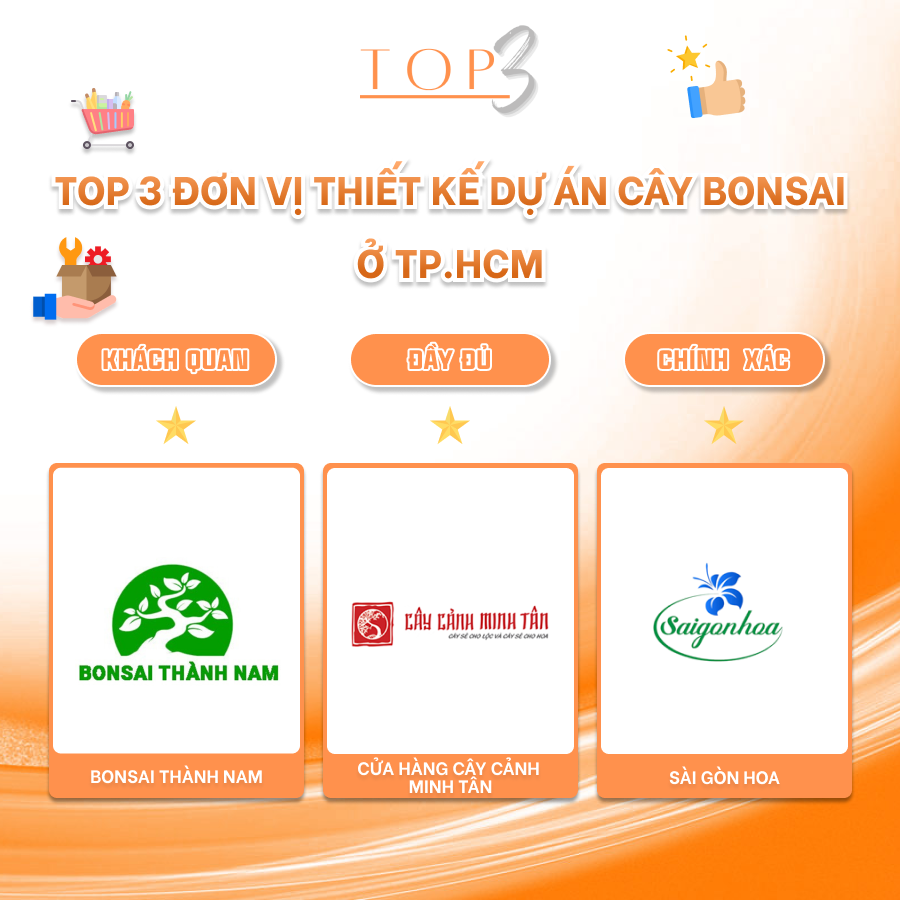 TOP 3 ĐƠN VỊ THIẾT KẾ DỰ ÁN CÂY BONSAI Ở TP.HCM
