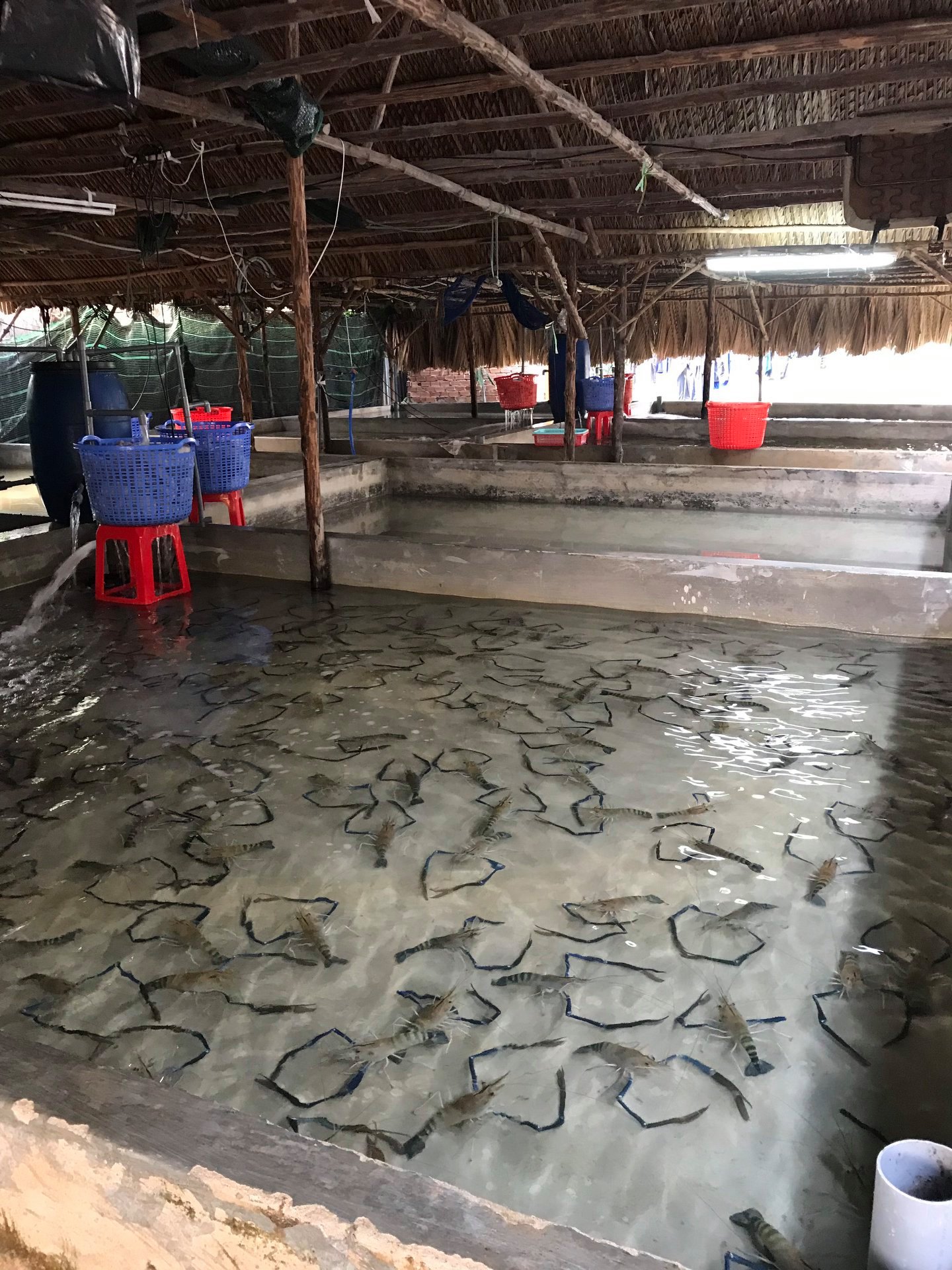 TOP 3 CỬA HÀNG BÁN HẢI SẢN UY TÍN BẬC NHẤT SÀI GÒN