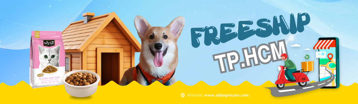 Top 3 Cửa Hàng Chăm Sóc Thú Cưng Tân Phú Chuyên Nghiệp Nhất Hiện Nay