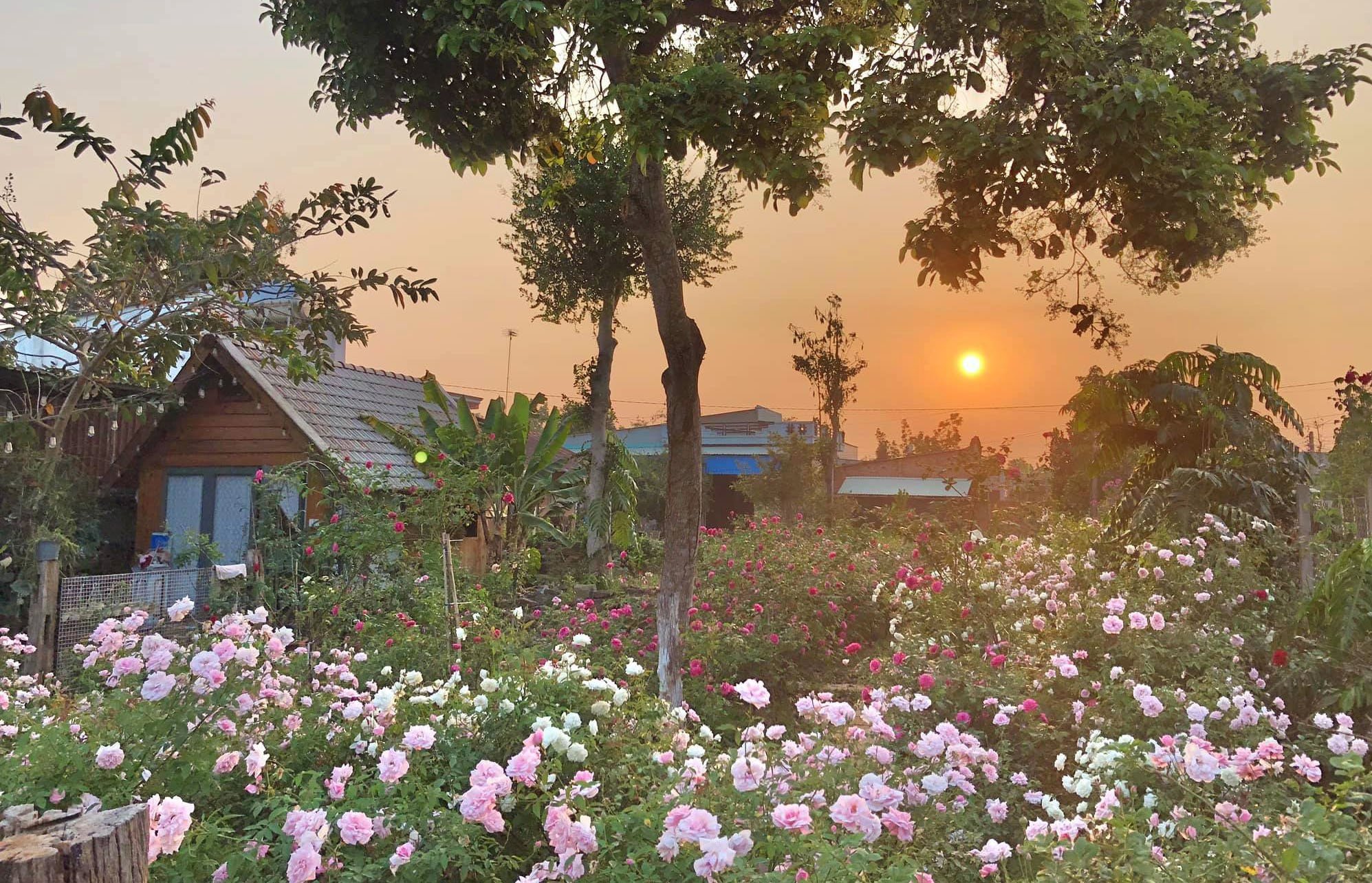 TOP 3 CƠ SỞ THI CÔNG NHÀ GỖ UY TÍN TẠI TÂY NINH