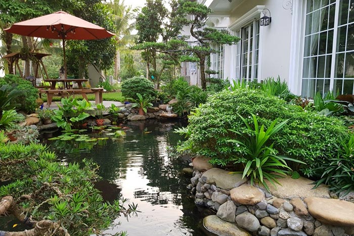 NHUNG DŨNG KOI GARDEN ĐƠN VỊ CHUYÊN THI CÔNG THIẾT KẾ TIỂU CẢNH SÂN VƯỜN HỒ CÁ KOI UY TÍN TẠI HÀ NỘI