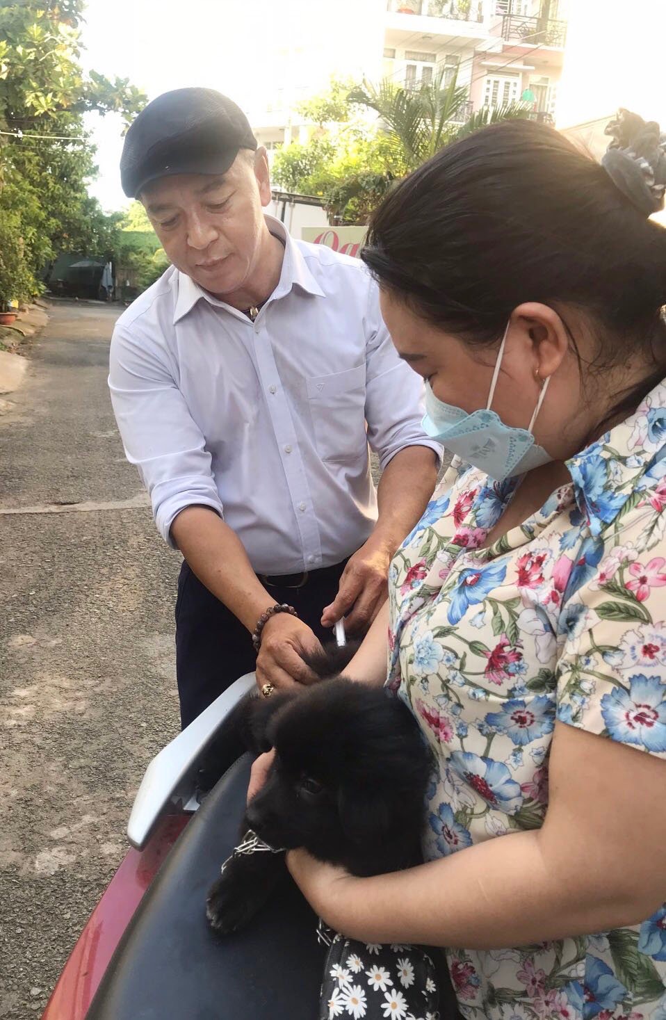 Top đơn vị cung cấp dịch vụ chữa bệnh thú y tại nhà uy tín chất lượng nhất Hồ Chí Minh