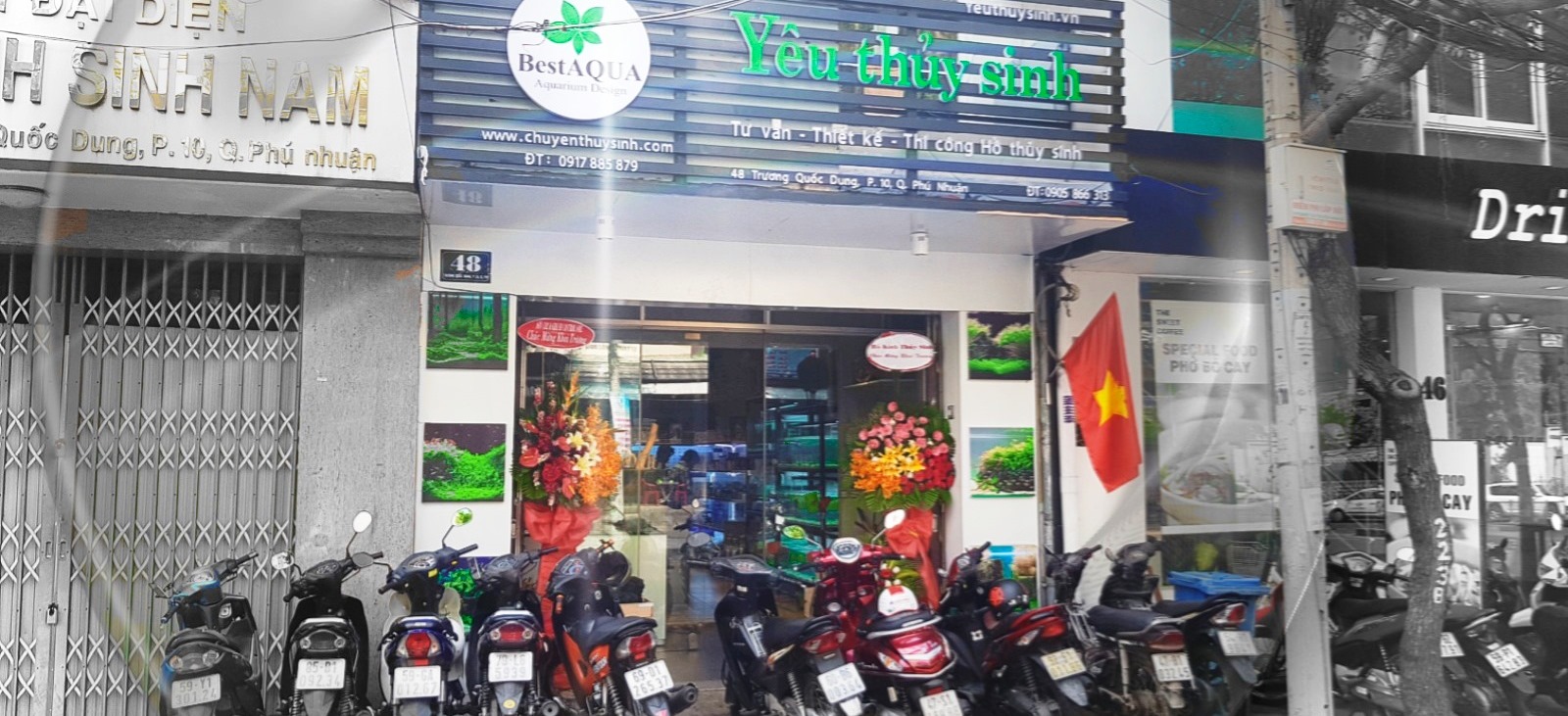 thuy sinh uy tin