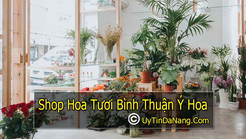 Top 3 Shop Hoa Tươi Nổi Tiếng Tại Bình Thuận Được Yêu Thích Nhất