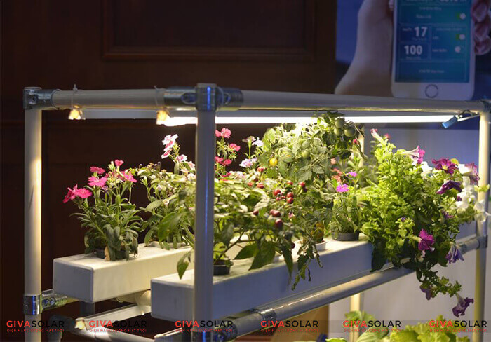 TOP 3 CÔNG TY CHUYÊN SẢN XUẤT VÀ CUNG CẤP ĐÈN LED TRỒNG CÂY TẠI TP.HCM