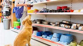 Top 3 shop chuyên sản phẩm thú cưng tại TP HCM