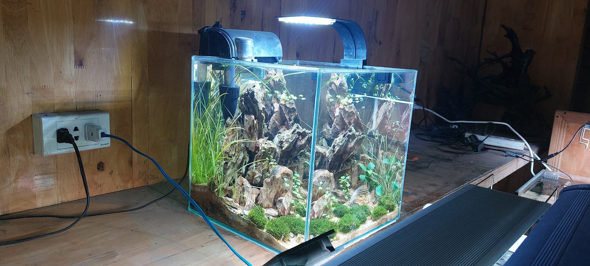 Top 3 Địa Chỉ Bán Cá Cảnh Thuận An Bình Dương Bạn Nên Biết