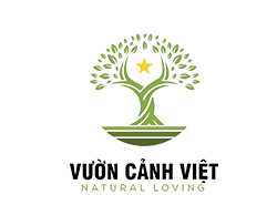 Top 3 công ty cây cảnh uy tín tại quận 7, TP Hồ Chí Minh