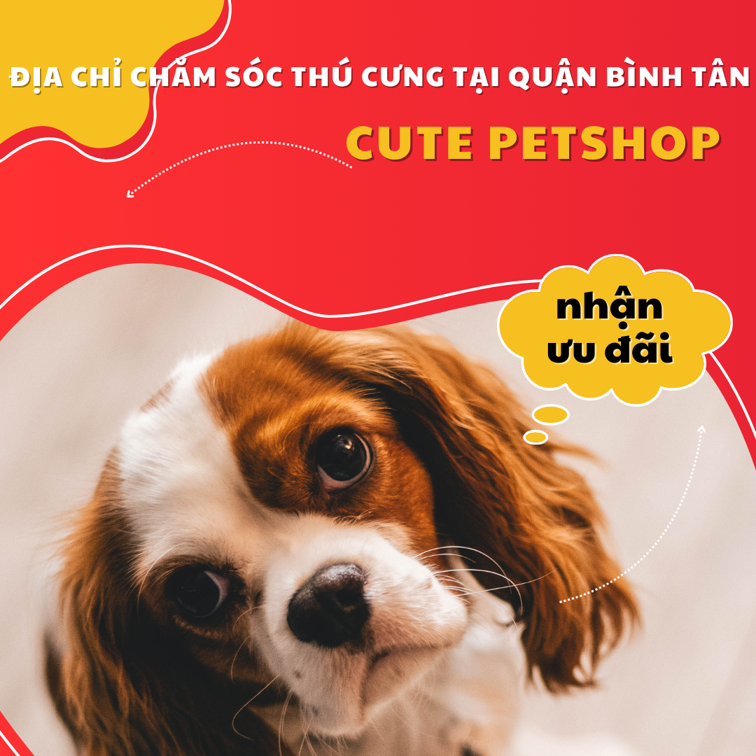 ĐỊA CHỈ CHĂM SÓC THÚ CƯNG TẠI QUẬN BÌNH TÂN - CUTEPETSHOP