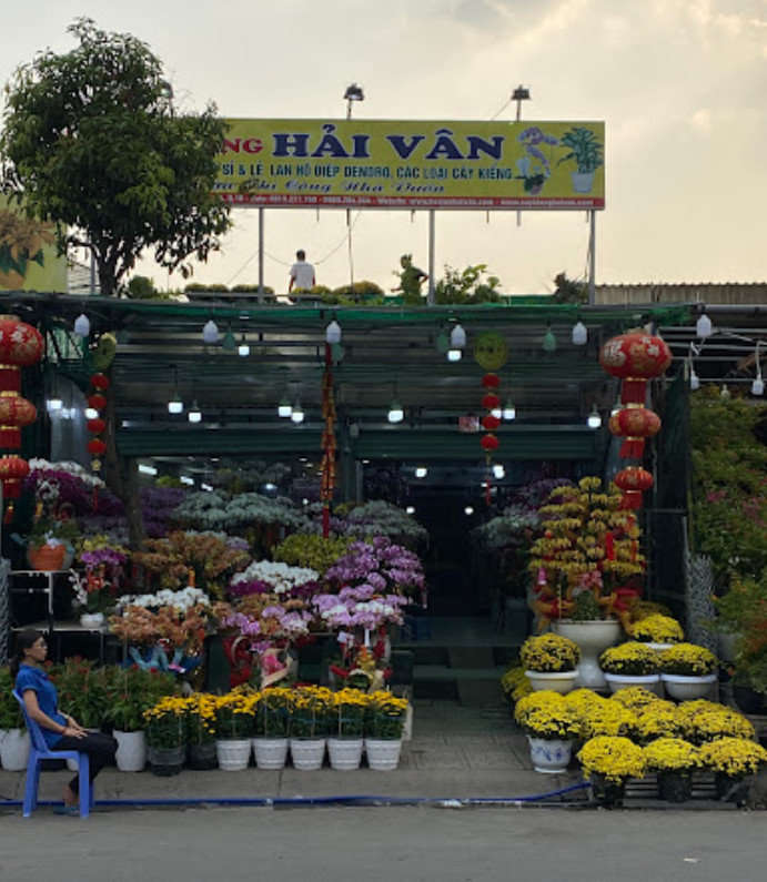 Top 3 Cửa Hàng Kinh Doanh Cây Cảnh Uy Tín ở Quận 10