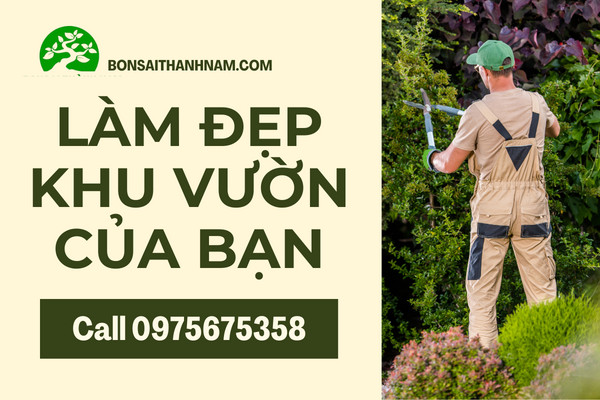 Top 3 Địa Chỉ Bán Cây Cảnh Uy Tín Nhất Tại Quận Tân Bình