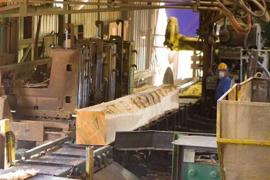 Top 3 Phân Xưởng Cưa Gỗ Tại Hóc Môn Được Đánh Giá Cao Nhất – Nơi Cung Cấp Gỗ Đạt Tiêu Chuẩn